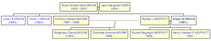 Mini tree diagram