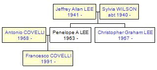 Mini tree diagram