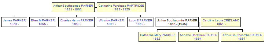 Mini tree diagram