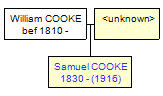 Mini tree diagram