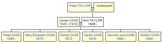 Mini tree diagram