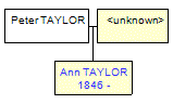 Mini tree diagram