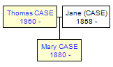 Mini tree diagram