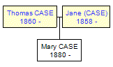 Mini tree diagram