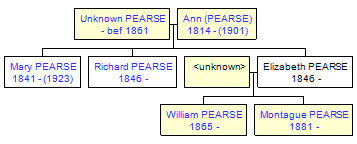 Mini tree diagram