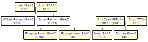 Mini tree diagram