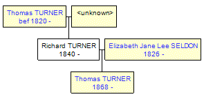 Mini tree diagram