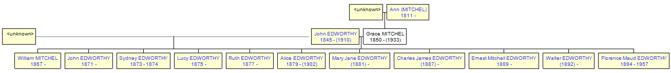 Mini tree diagram