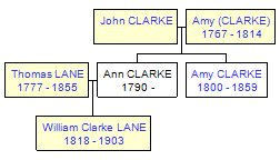 Mini tree diagram