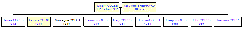 Mini tree diagram