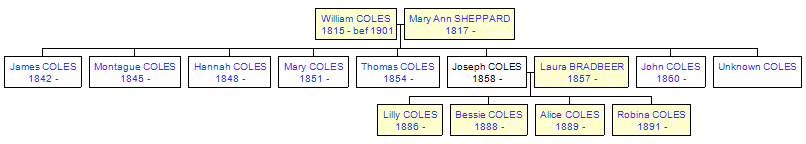 Mini tree diagram