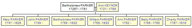 Mini tree diagram