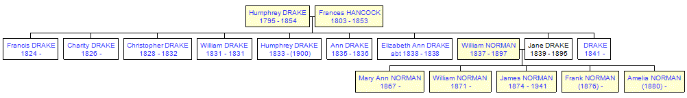 Mini tree diagram