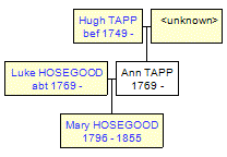 Mini tree diagram