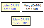 Mini tree diagram