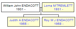 Mini tree diagram