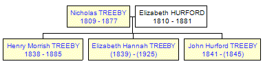 Mini tree diagram