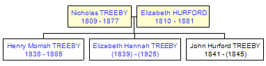 Mini tree diagram