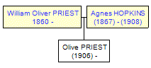 Mini tree diagram