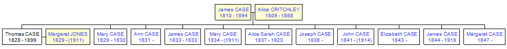 Mini tree diagram