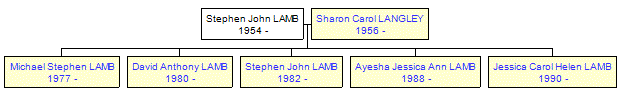 Mini tree diagram