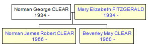 Mini tree diagram