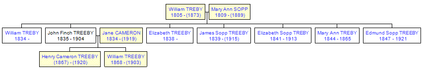 Mini tree diagram