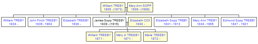 Mini tree diagram