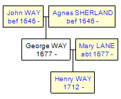 Mini tree diagram