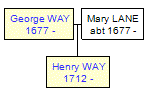 Mini tree diagram