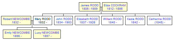 Mini tree diagram