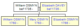 Mini tree diagram