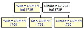 Mini tree diagram