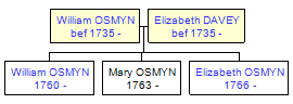 Mini tree diagram