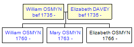 Mini tree diagram