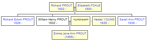 Mini tree diagram