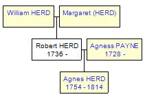 Mini tree diagram