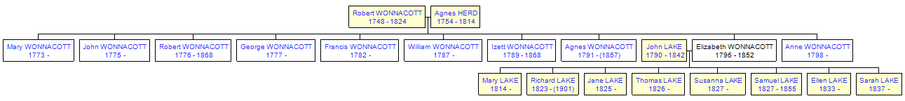 Mini tree diagram