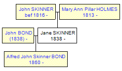 Mini tree diagram