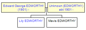 Mini tree diagram