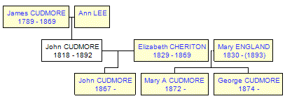 Mini tree diagram