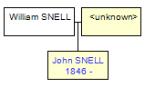 Mini tree diagram