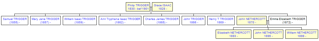 Mini tree diagram