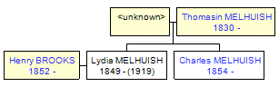 Mini tree diagram