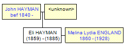 Mini tree diagram