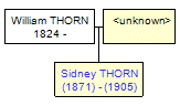 Mini tree diagram