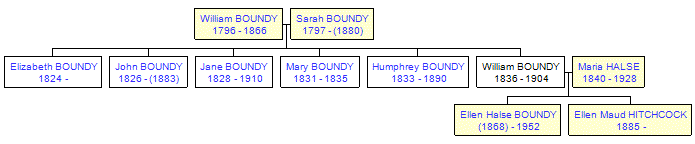 Mini tree diagram