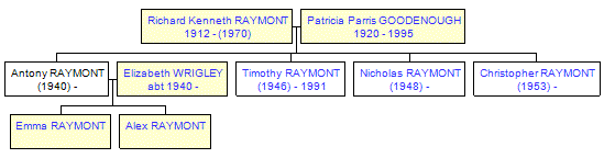 Mini tree diagram