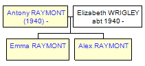 Mini tree diagram