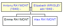 Mini tree diagram